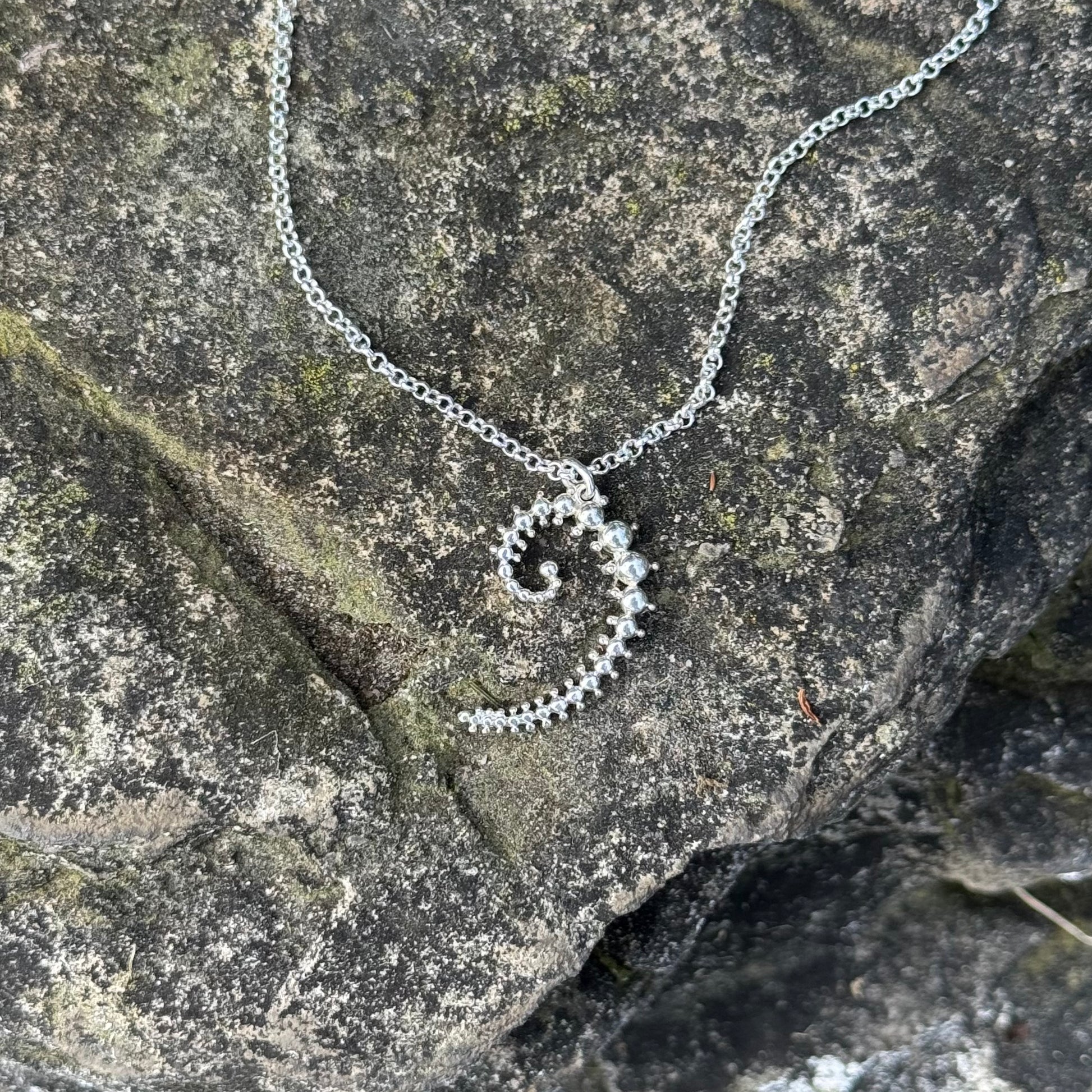 A silver necklace with a spiral fibonacci pendant, displayed on a textured dark gray rock surface.